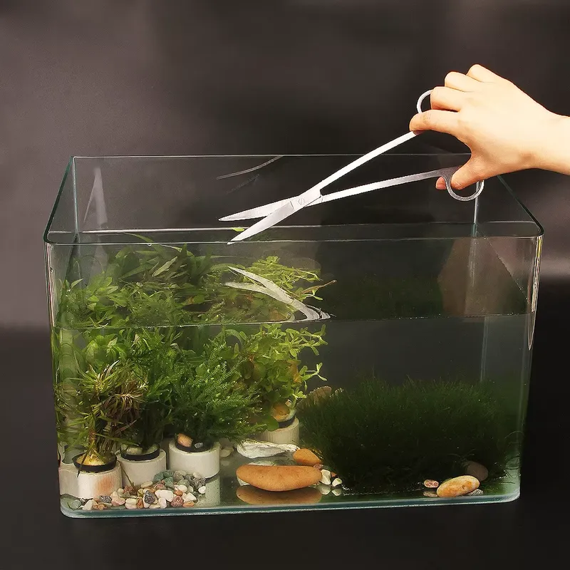 Aquarium Fish Popular - Popular Aquarium Tool Kit Aquariums Accessories