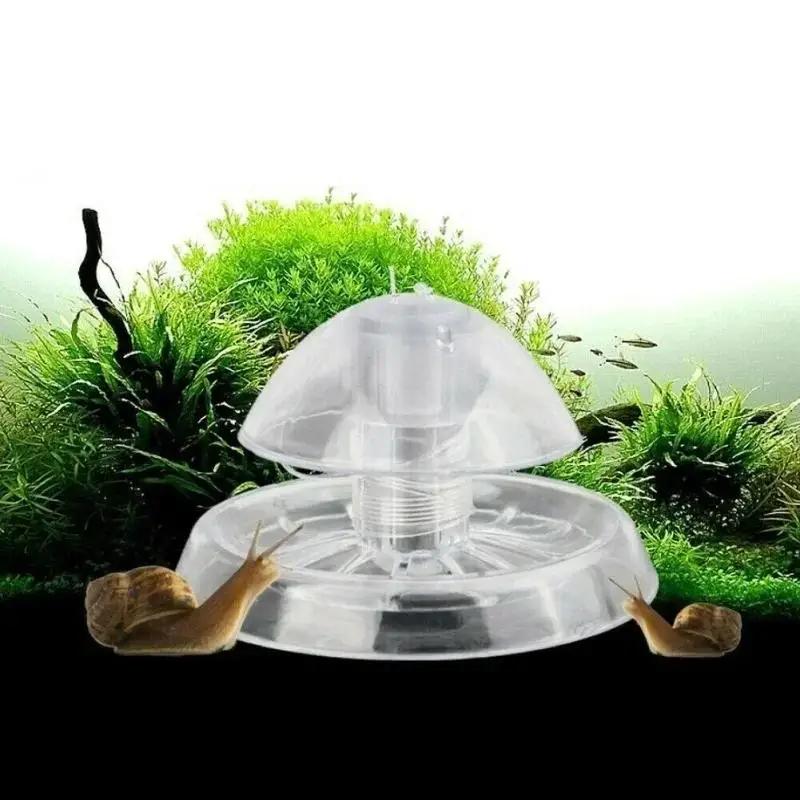 2026 New 6/8CM Clear Plastic S - огляд і ціна Aquarium Fish And Supplies