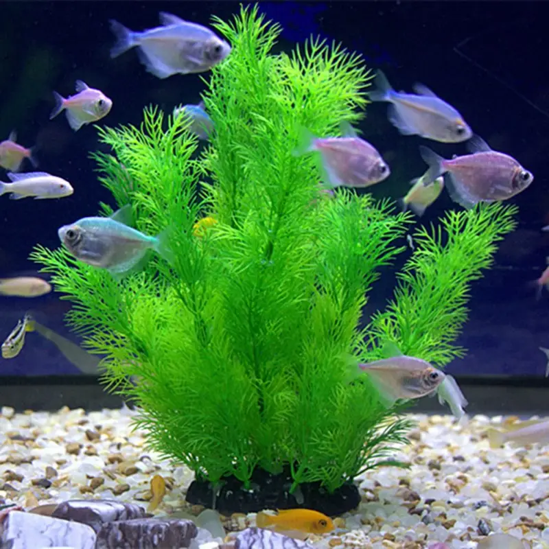 Artificial Aquarium Decor Plan - огляд і ціна Aquarium Fish Artificial