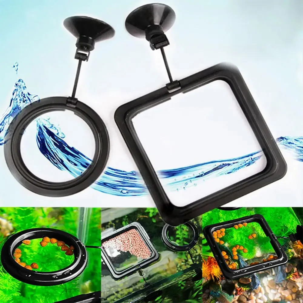 Feed Suction Cup Aquarium Feed - огляд і ціна Aquarium Fish Accessories
