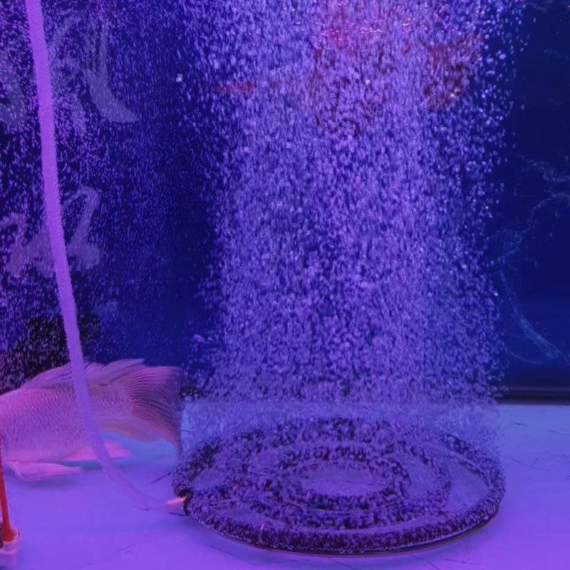 1pcs Nano Aeration Disc Fish P - огляд і ціна Aquarium Fish And Supplies