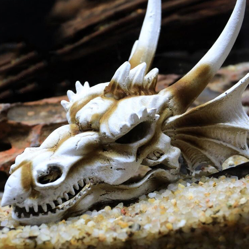 Aquarium Fish Tank Dinosaur He - огляд і ціна Aquarium Fish Popular