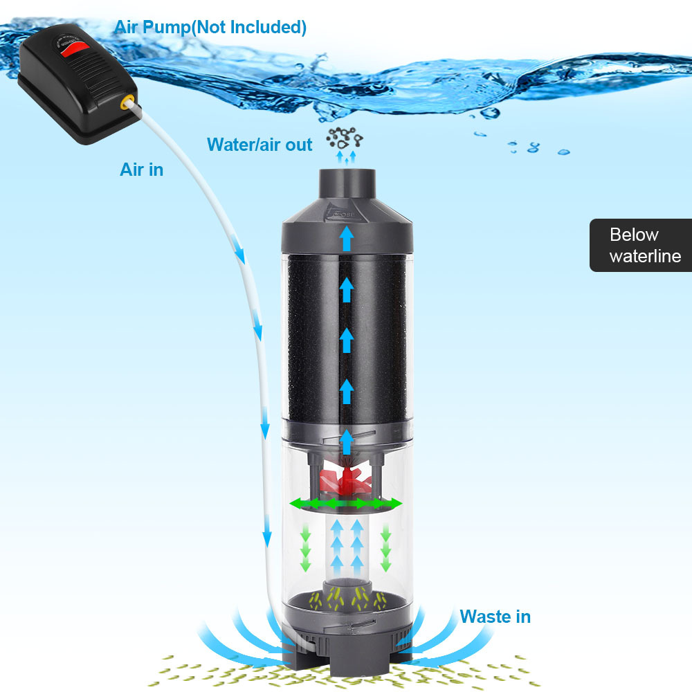 Popular Hot sell Aquarium Fish - огляд і ціна Aquarium Fish Popular