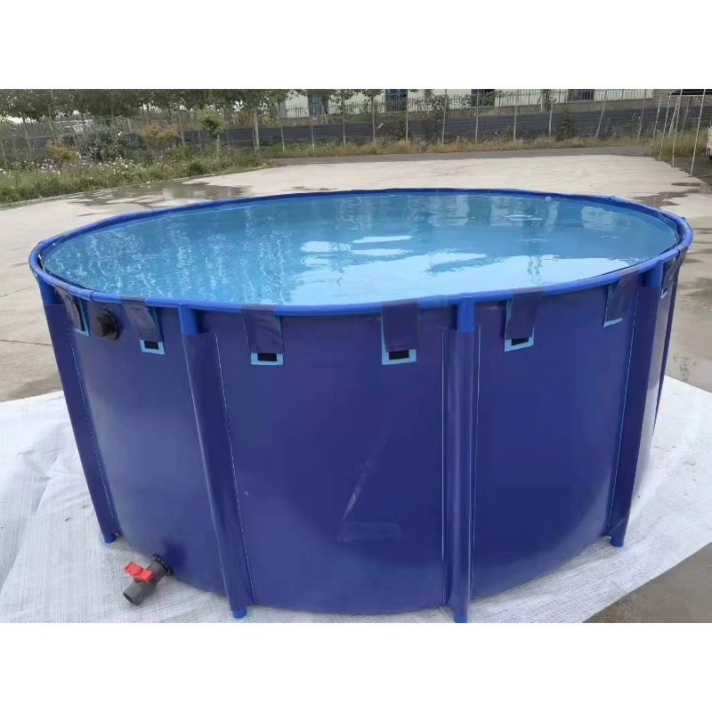 Wholesale Custom Outdoor Large - огляд і ціна Aquarium Fish Popular