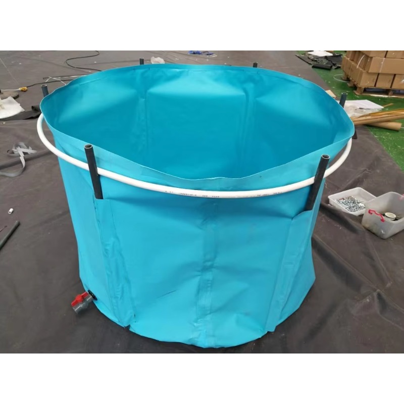 Wholesale Custom Outdoor Large - огляд і ціна Aquarium Fish Popular