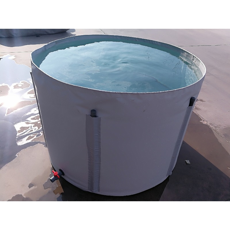 Wholesale Custom Outdoor Large - огляд і ціна Aquarium Fish Popular